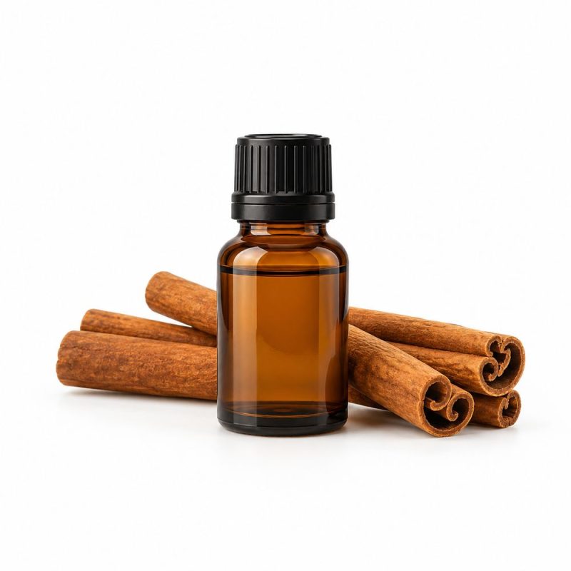 Tinh dầu vỏ quế Vemoda 50ml